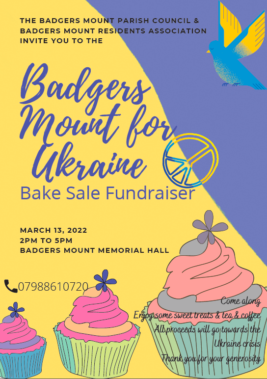 Badgers Mount for Ukraine